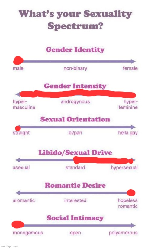 My gender expression varies | image tagged in what's your sexuality spectrum | made w/ Imgflip meme maker