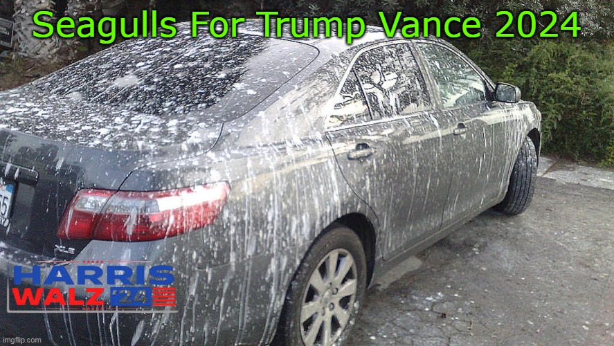 Seagulls For Trump Vance 2024 | made w/ Imgflip meme maker