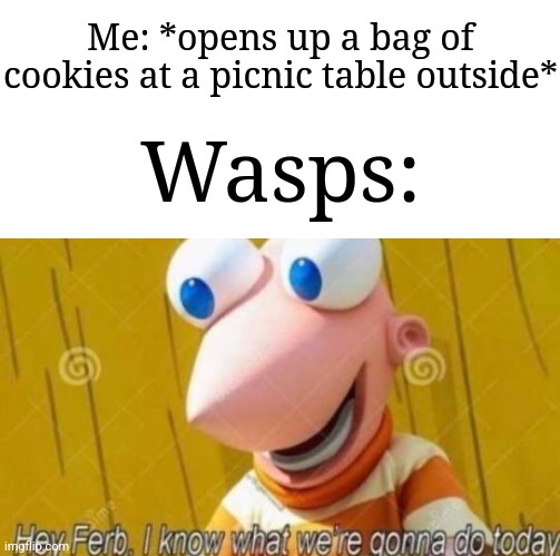 Why is it always like this | Me: *opens up a bag of cookies at a picnic table outside*; Wasps: | image tagged in hey ferb,memes,funny,wasp | made w/ Imgflip meme maker