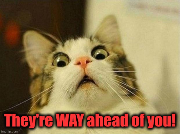 Scared Cat Meme | They're WAY ahead of you! | image tagged in memes,scared cat | made w/ Imgflip meme maker