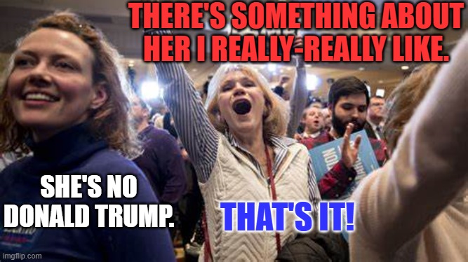 She is what she is and isn't who she isn't! | THERE'S SOMETHING ABOUT HER I REALLY-REALLY LIKE. SHE'S NO DONALD TRUMP. THAT'S IT! | image tagged in politics | made w/ Imgflip meme maker