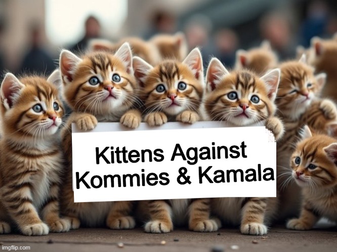 Make Animals Great Again | Kittens Against 
Kommies & Kamala | image tagged in kittens,cute kittens,kamala harris,animals,smart,maga | made w/ Imgflip meme maker