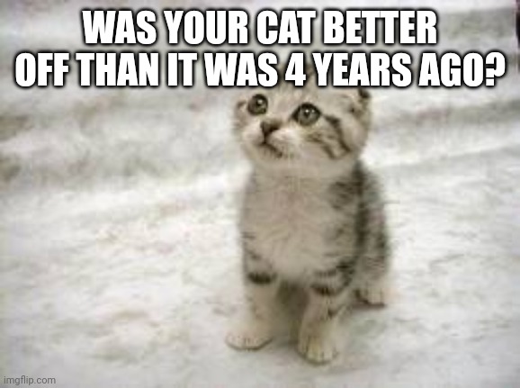 Sad Cat Meme | WAS YOUR CAT BETTER OFF THAN IT WAS 4 YEARS AGO? | image tagged in memes,sad cat | made w/ Imgflip meme maker