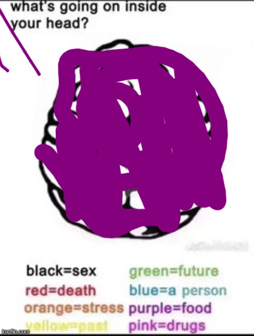What's going on inside your head? | image tagged in what's going on inside your head | made w/ Imgflip meme maker