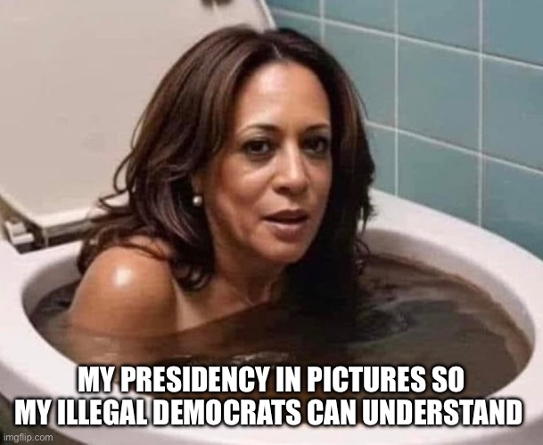 Kammy bringing the heat | MY PRESIDENCY IN PICTURES SO MY ILLEGAL DEMOCRATS CAN UNDERSTAND | image tagged in kamala,funny,gifs,memes | made w/ Imgflip meme maker