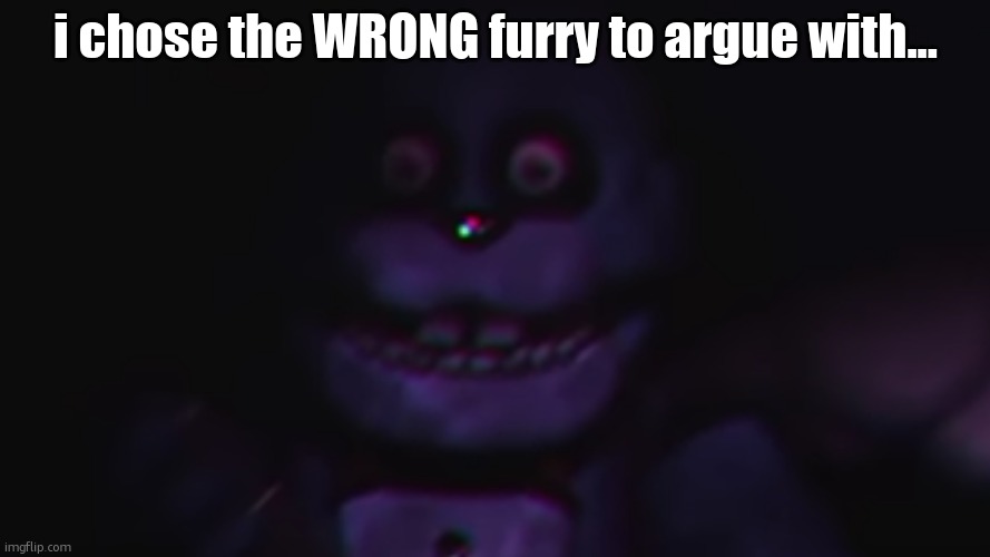 Fnaf plus bonnie | i chose the WRONG furry to argue with... | image tagged in fnaf plus bonnie | made w/ Imgflip meme maker