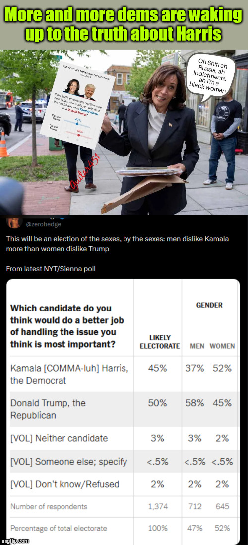 More and more dems saying they will vote for Trump | More and more dems are waking up to the truth about Harris | image tagged in communist kamala,losing dem voters | made w/ Imgflip meme maker