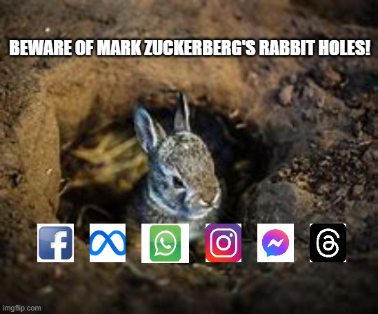 Facebook Rabbit Hole | BEWARE OF MARK ZUCKERBERG'S RABBIT HOLES! | image tagged in facebook rabbit hole,facebook,meta,instagram,whatsapp,facebookthreads | made w/ Imgflip meme maker