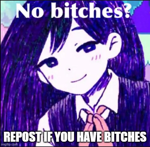 no bitches? | REPOST IF YOU HAVE BITCHES | image tagged in no bitches | made w/ Imgflip meme maker