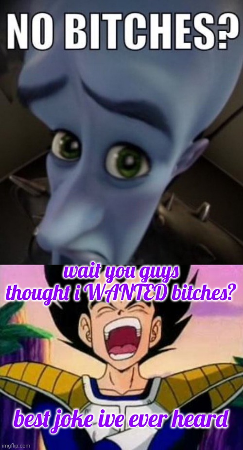 certifies /srs moment | wait you guys thought i WANTED bitches? best joke ive ever heard | image tagged in no bitches megamind,vegeta lol | made w/ Imgflip meme maker