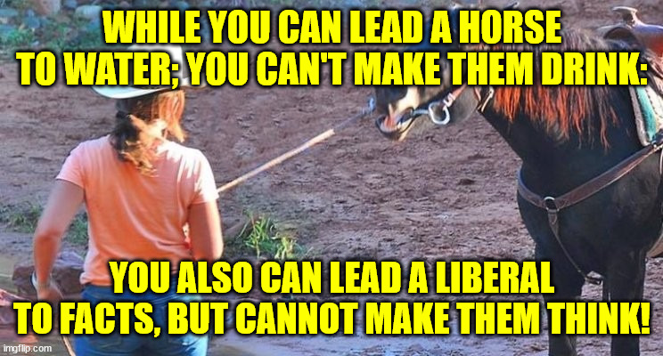 WHILE YOU CAN LEAD A HORSE TO WATER; YOU CAN'T MAKE THEM DRINK:; YOU ALSO CAN LEAD A LIBERAL TO FACTS, BUT CANNOT MAKE THEM THINK! | made w/ Imgflip meme maker