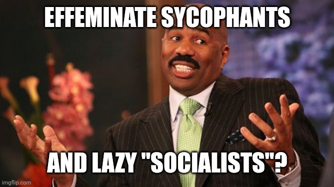 Steve Harvey Meme | EFFEMINATE SYCOPHANTS AND LAZY "SOCIALISTS"? | image tagged in memes,steve harvey | made w/ Imgflip meme maker