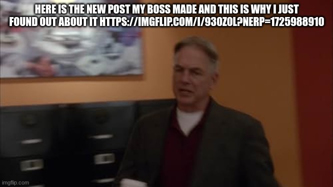 agent gibbs | HERE IS THE NEW POST MY BOSS MADE AND THIS IS WHY I JUST FOUND OUT ABOUT IT HTTPS://IMGFLIP.COM/I/930Z0L?NERP=1725988910 | image tagged in agent gibbs | made w/ Imgflip meme maker