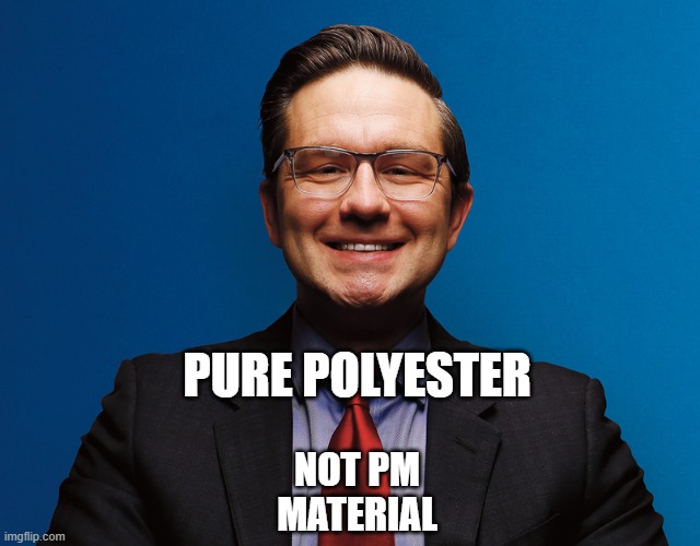 Pure Polyester | PURE POLYESTER; NOT PM MATERIAL | made w/ Imgflip meme maker