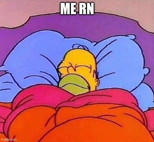 Homer Simpson sleeping peacefully | ME RN | image tagged in homer simpson sleeping peacefully | made w/ Imgflip meme maker