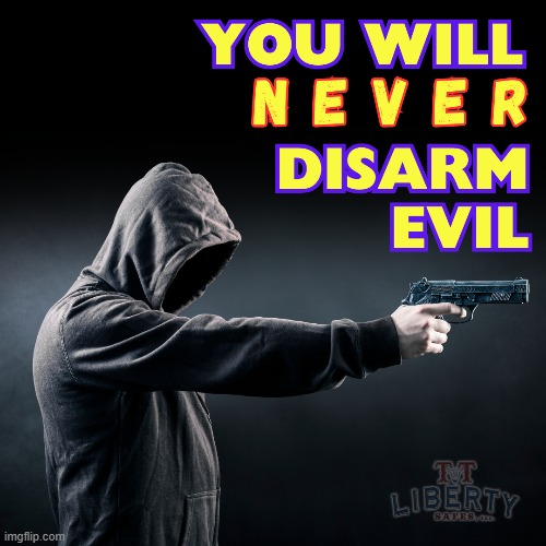 2nd Amendment | image tagged in evil,guns,memes,truth,criminals | made w/ Imgflip meme maker