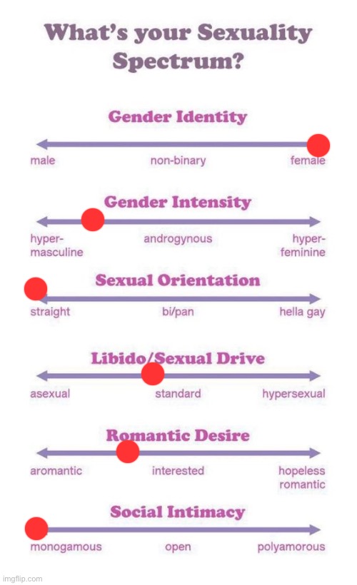 I mean im a kid so my sexual drive may change over time | image tagged in what's your sexuality spectrum | made w/ Imgflip meme maker