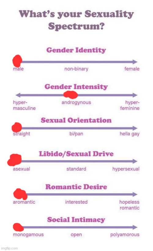 What's your sexuality spectrum? | image tagged in what's your sexuality spectrum | made w/ Imgflip meme maker