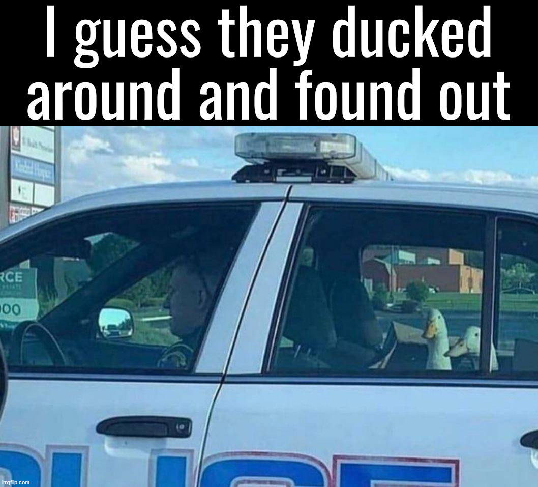 So what did they do exactly? What do you think? | I guess they ducked around and found out | image tagged in duck,arrested | made w/ Imgflip meme maker