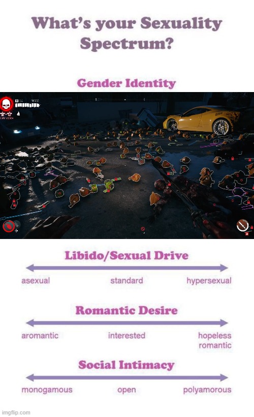 DI2 BITCH- | image tagged in what's your sexuality spectrum | made w/ Imgflip meme maker