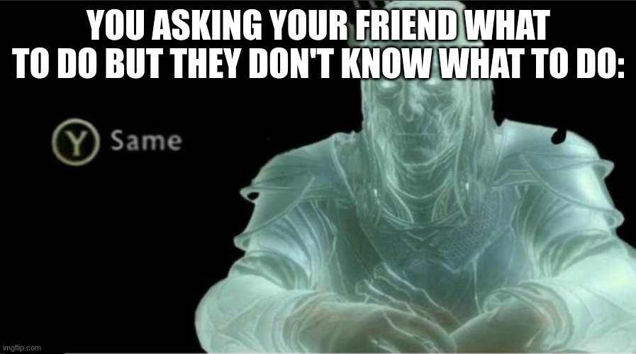 Same | YOU ASKING YOUR FRIEND WHAT TO DO BUT THEY DON'T KNOW WHAT TO DO: | image tagged in y same better,same,friends,what to do,funny,meme | made w/ Imgflip meme maker