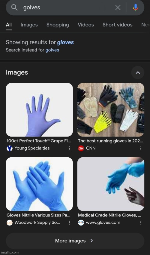 ISTG GOOGLE I MEANT GOLVES WHY TF WOULD I WANNA SEARCH GLOVES | made w/ Imgflip meme maker