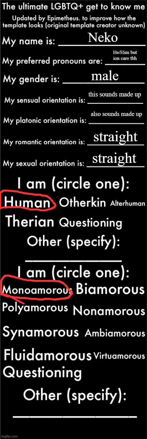 ok, for real this time | Neko; He/Him but ion care tbh; male; this sounds made up; also sounds made up; straight; straight | image tagged in the ultimate lgbtq get to know me updated | made w/ Imgflip meme maker