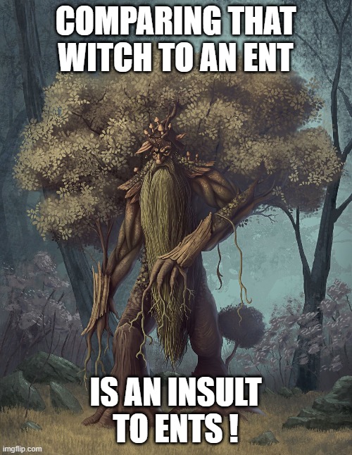 COMPARING THAT WITCH TO AN ENT IS AN INSULT TO ENTS ! | made w/ Imgflip meme maker