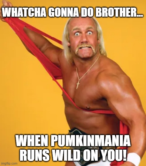 Pumpkinmania | WHATCHA GONNA DO BROTHER... WHEN PUMKINMANIA RUNS WILD ON YOU! | image tagged in funny memes | made w/ Imgflip meme maker