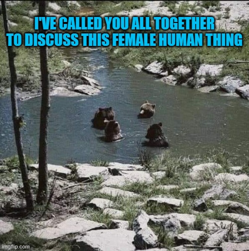 Bear Meeting | I'VE CALLED YOU ALL TOGETHER TO DISCUSS THIS FEMALE HUMAN THING | image tagged in bear meeting | made w/ Imgflip meme maker