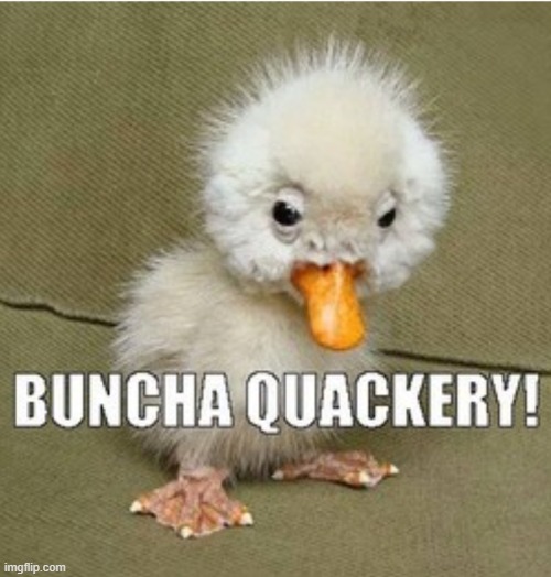 Funny bird | image tagged in funny bird | made w/ Imgflip meme maker