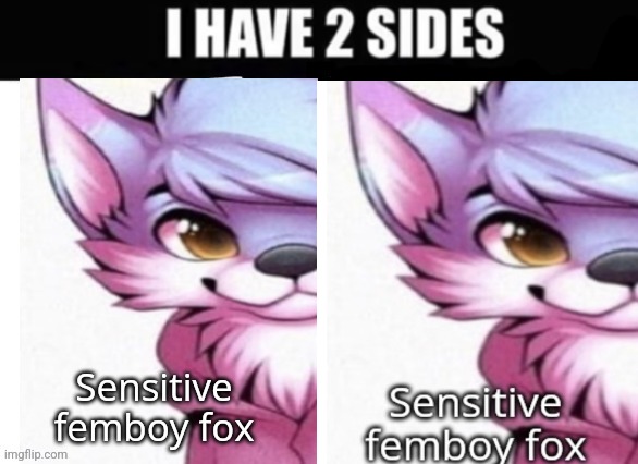 help | image tagged in i have 2 sides | made w/ Imgflip meme maker