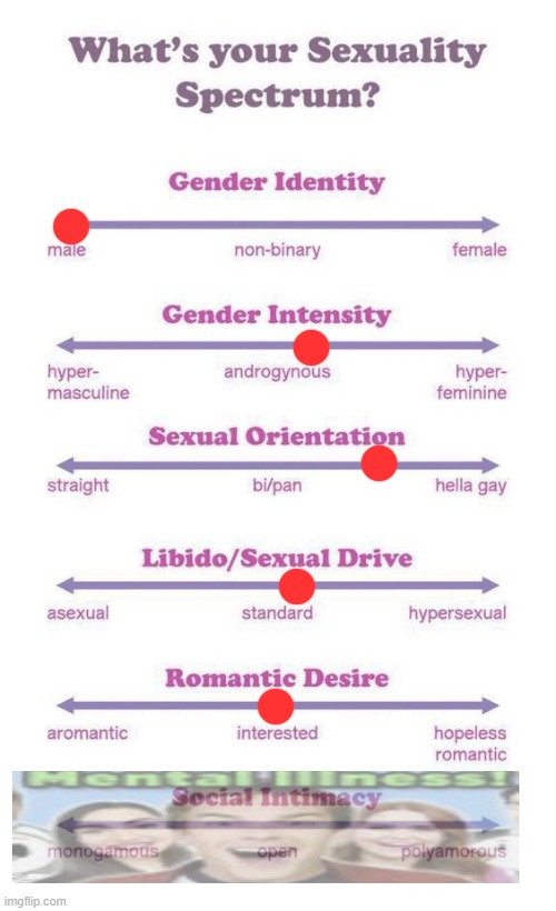 What's your sexuality spectrum? | image tagged in what's your sexuality spectrum | made w/ Imgflip meme maker