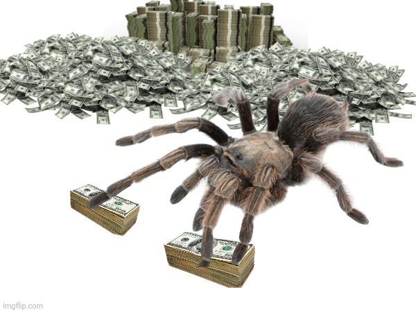 Arachno-Capitalism | image tagged in capitalism | made w/ Imgflip meme maker