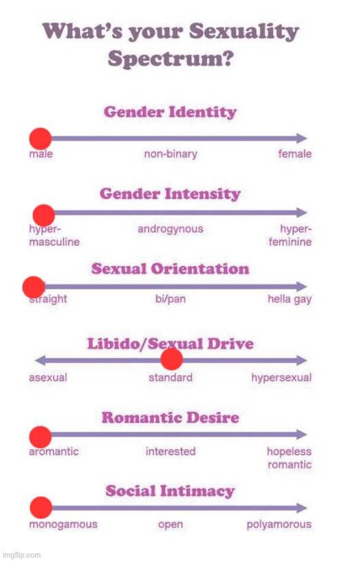 I have a girlfriend. | image tagged in what's your sexuality spectrum | made w/ Imgflip meme maker