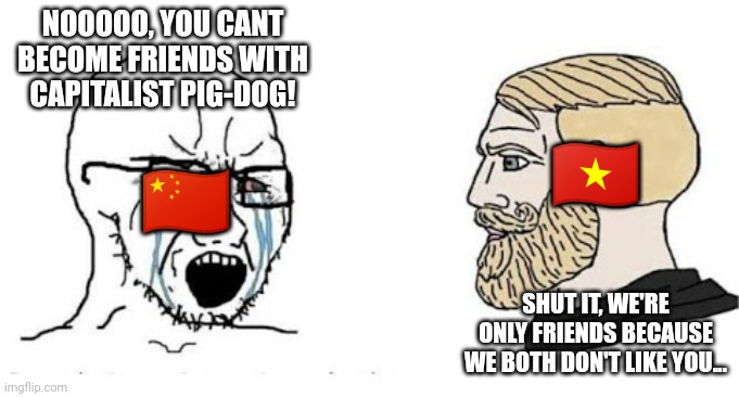 Common enemy | NOOOOO, YOU CANT BECOME FRIENDS WITH CAPITALIST PIG-DOG! 🇻🇳; 🇨🇳; SHUT IT, WE'RE ONLY FRIENDS BECAUSE WE BOTH DON'T LIKE YOU... | image tagged in soyjak vs chad,china,vietnam | made w/ Imgflip meme maker