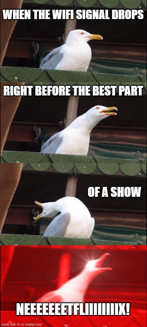 h | WHEN THE WIFI SIGNAL DROPS; RIGHT BEFORE THE BEST PART; OF A SHOW; NEEEEEEETFLIIIIIIIIX! | image tagged in memes,inhaling seagull,wifi drops | made w/ Imgflip meme maker