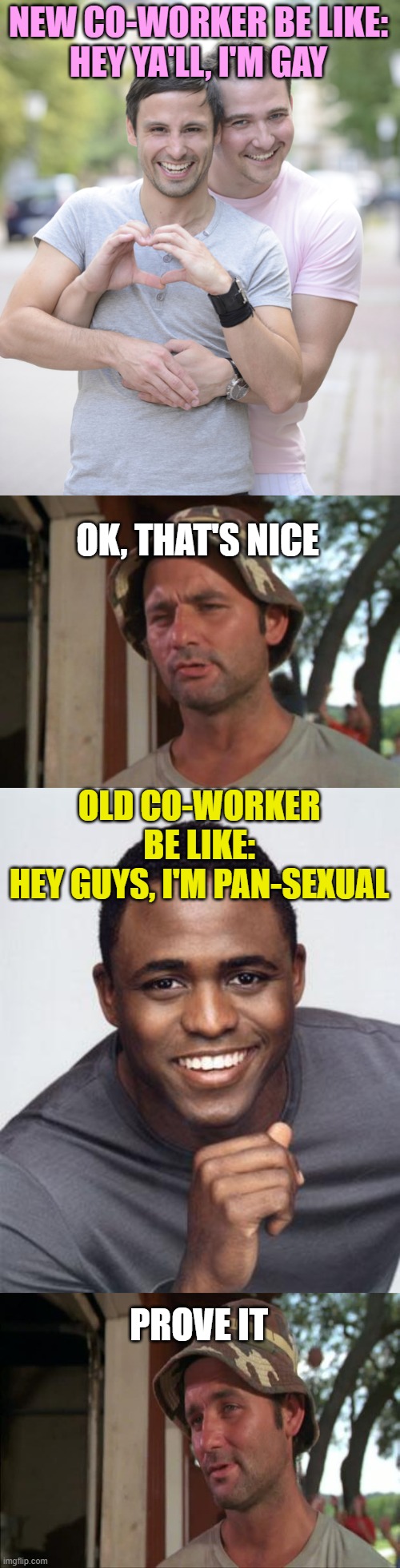 NEW CO-WORKER BE LIKE:
HEY YA'LL, I'M GAY; OK, THAT'S NICE; OLD CO-WORKER BE LIKE:
HEY GUYS, I'M PAN-SEXUAL; PROVE IT | image tagged in gay couple,memes,so i got that goin for me which is nice,wayne brady,so i got that goin for me which is nice 2 | made w/ Imgflip meme maker