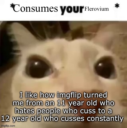 Yakko consumes your flerovium | I like how imgflip turned me from an 11 year old who hates people who cuss to a 12 year old who cusses constantly | image tagged in yakko consumes your flerovium | made w/ Imgflip meme maker