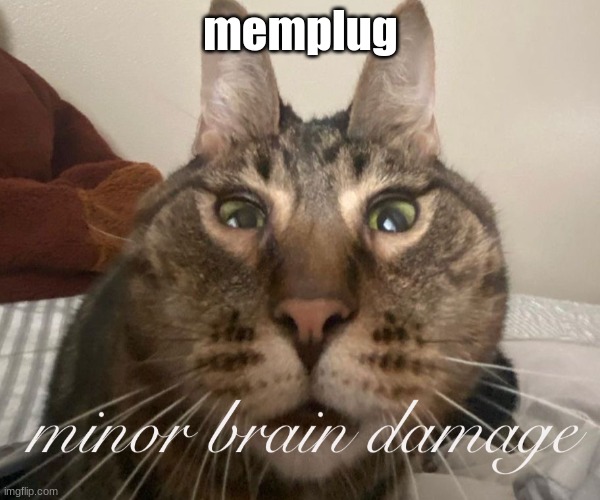 minor brain damage | memplug | image tagged in minor brain damage | made w/ Imgflip meme maker