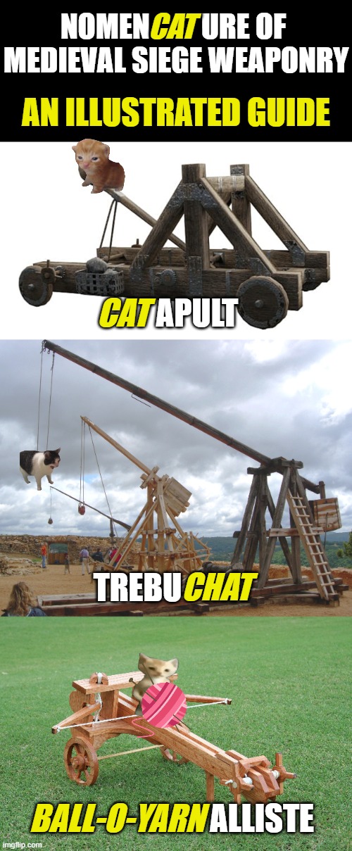 Medieval siege weaponry but it's cats | NOMEN         URE OF 
MEDIEVAL SIEGE WEAPONRY; CAT; AN ILLUSTRATED GUIDE; CAT; APULT; TREBU; CHAT; BALL-O-YARN; ALLISTE | image tagged in cat,cats,medieval,funny memes | made w/ Imgflip meme maker