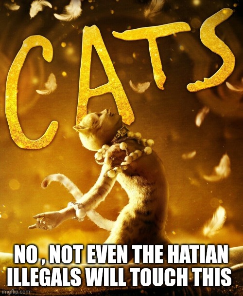 haitian illegals meme | NO , NOT EVEN THE HATIAN ILLEGALS WILL TOUCH THIS | image tagged in wait thats illegal | made w/ Imgflip meme maker
