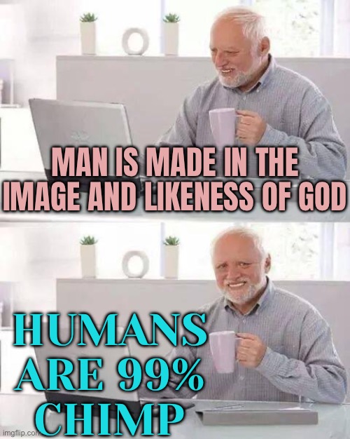 Humans Are 99% Chimp | HUMANS ARE 99% CHIMP; MAN IS MADE IN THE IMAGE AND LIKENESS OF GOD | image tagged in memes,hide the pain harold,evolution,human evolution,science,anti-religion | made w/ Imgflip meme maker