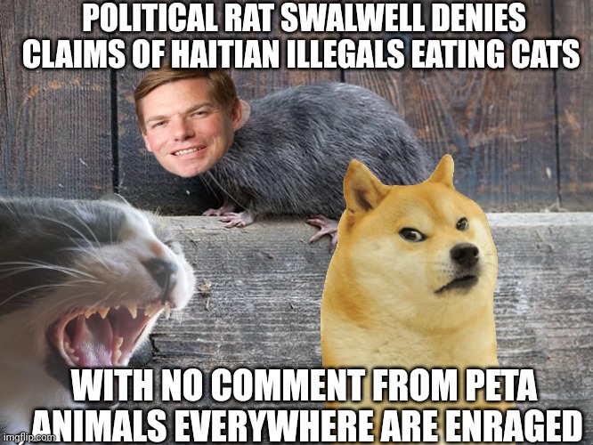 Eric swalwell meme | POLITICAL RAT SWALWELL DENIES CLAIMS OF HAITIAN ILLEGALS EATING CATS; WITH NO COMMENT FROM PETA , ANIMALS EVERYWHERE ARE ENRAGED | image tagged in illegal immigrants | made w/ Imgflip meme maker