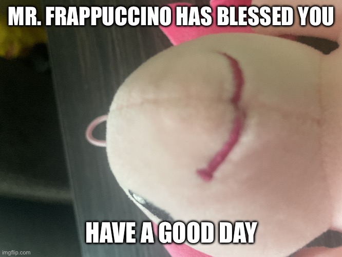 Mr. Frappuccino | MR. FRAPPUCCINO HAS BLESSED YOU; HAVE A GOOD DAY | image tagged in mr frappuccino | made w/ Imgflip meme maker