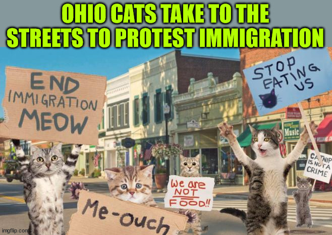 Stop illegal aliens eating our pets | OHIO CATS TAKE TO THE STREETS TO PROTEST IMMIGRATION | image tagged in cats,protesting,against,illegal aliens eating them | made w/ Imgflip meme maker