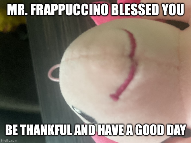 Mr. Frappuccino blessed you today | MR. FRAPPUCCINO BLESSED YOU; BE THANKFUL AND HAVE A GOOD DAY | image tagged in stuffed animal,blessed | made w/ Imgflip meme maker