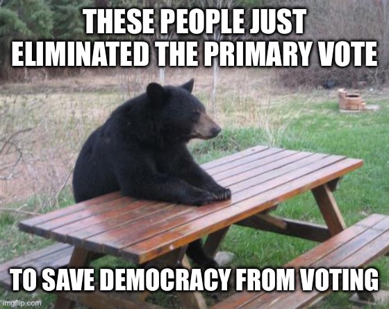 Liberal Logic Strikes Again | THESE PEOPLE JUST ELIMINATED THE PRIMARY VOTE; TO SAVE DEMOCRACY FROM VOTING | image tagged in memes,bad luck bear,kamala harris,donald trump,election 2024,liberal hypocrisy | made w/ Imgflip meme maker