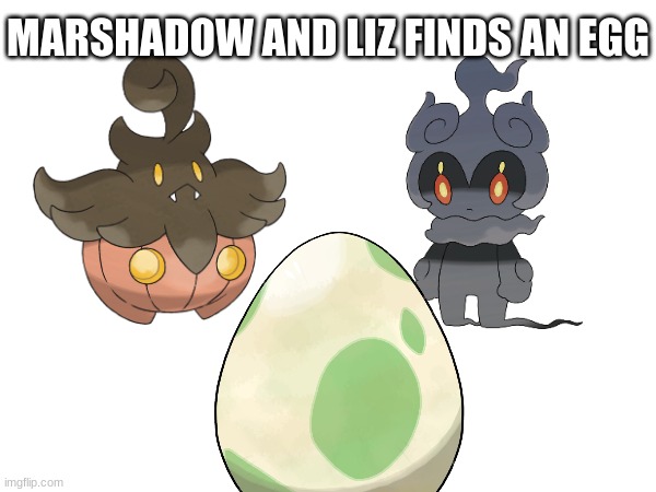 Random RP.mp3 | MARSHADOW AND LIZ FINDS AN EGG | made w/ Imgflip meme maker