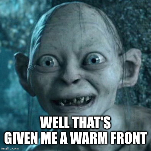 Gollum Meme | WELL THAT'S GIVEN ME A WARM FRONT | image tagged in memes,gollum | made w/ Imgflip meme maker